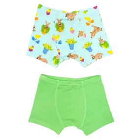 Hippity Hoppity Bunnies & Baby Chicks Boys Boxer Set of 2