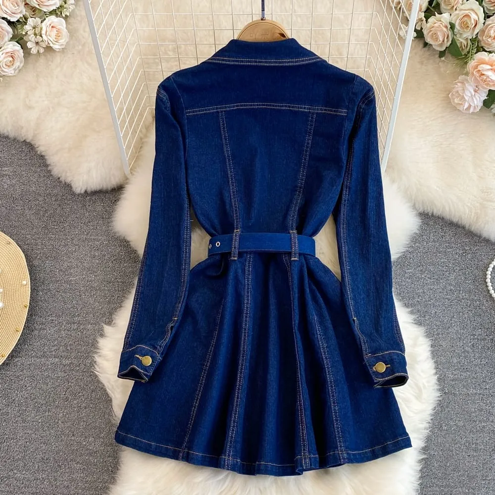 Sylvie Denim Dress