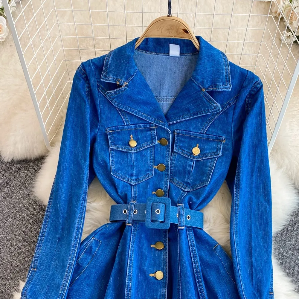 Sylvie Denim Dress