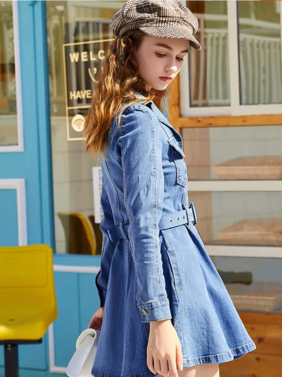 Sylvie Denim Dress
