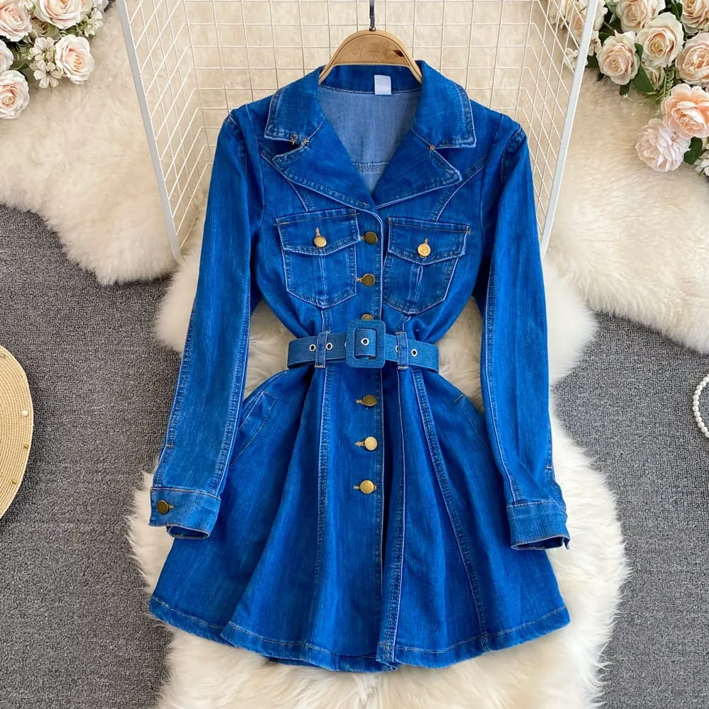 Sylvie Denim Dress